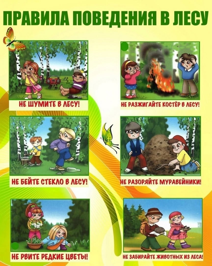 Безопасное поведение в лесу.