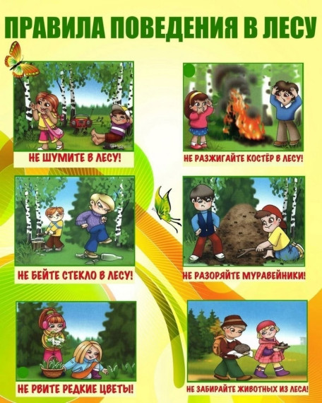 Безопасное поведение в лесу.
